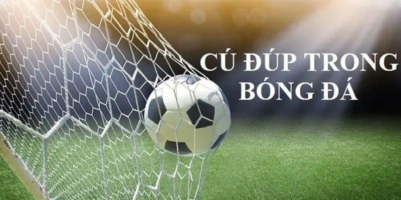 cú đúp là gì